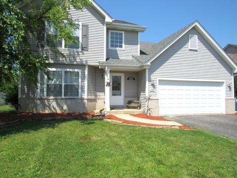 25842 S Geranium Ln, Monee, IL 60449 photo 2