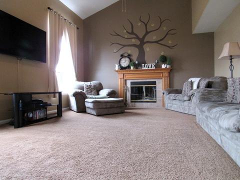 25842 S Geranium Ln, Monee, IL 60449 photo 13