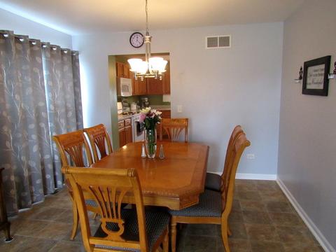 25842 S Geranium Ln, Monee, IL 60449 photo 6
