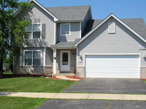 25842 S Geranium Ln, Monee, IL 60449 photo 1