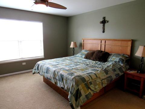25842 S Geranium Ln, Monee, IL 60449 photo 17