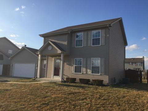 4716 W Iris Ln, Monee, IL 60449 photo 2