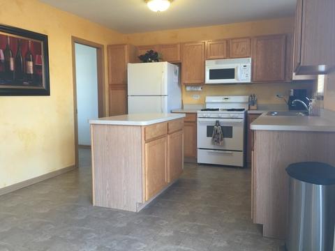 4716 W Iris Ln, Monee, IL 60449 photo 7