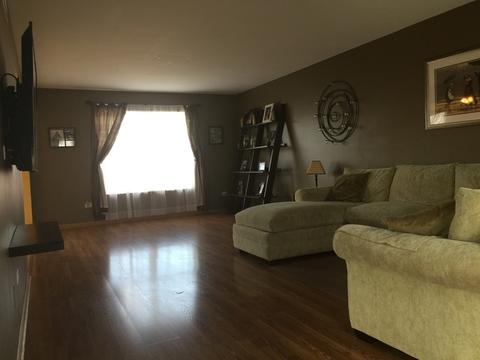 4716 W Iris Ln, Monee, IL 60449 photo 4