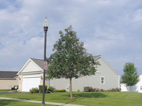 2851 Edgewater Dr, Elgin, IL 60124 photo 2