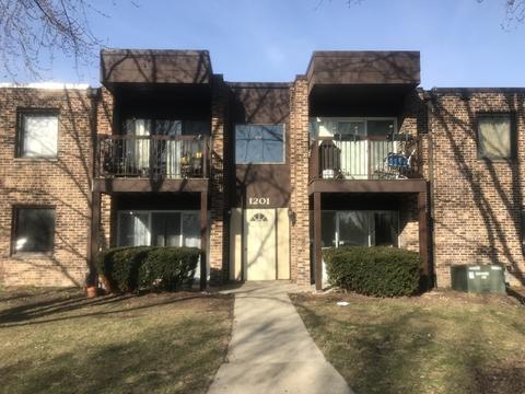 1201 Pleasant Run Dr #311, Wheeling, IL 60090 photo 1