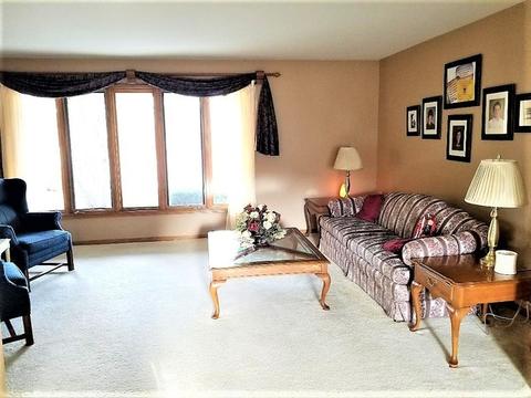 19206 Juniper Ln, Mokena, IL 60448 photo 16