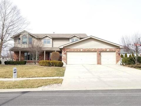 19206 Juniper Ln, Mokena, IL 60448 photo 1