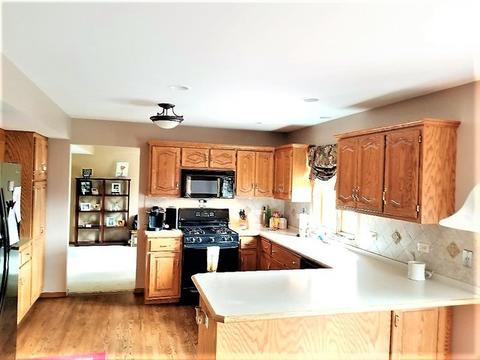 19206 Juniper Ln, Mokena, IL 60448 photo 21