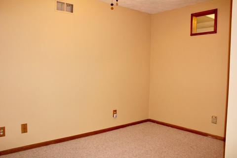 1318 Deerpath Dr, Morris, IL 60450 photo 8
