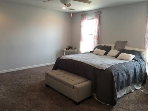 130 E Chestnut St, Ladd, IL 61329 photo 12