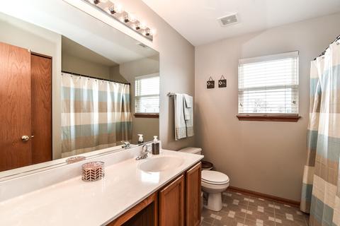 5316 White Oaks Ct, Plainfield, IL 60586 photo 26