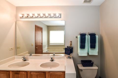 5316 White Oaks Ct, Plainfield, IL 60586 photo 23