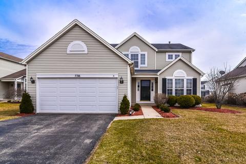 5316 White Oaks Ct, Plainfield, IL 60586 photo 1