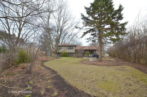 3346 Maple Leaf Dr, Glenview, IL 60026 photo 17