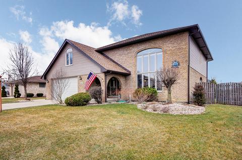 15624 Bramblewood Rd, Oak Forest, IL 60452 photo 1