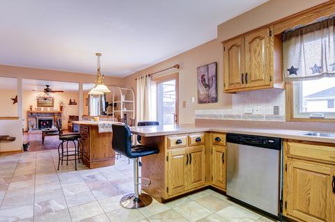 15624 Bramblewood Rd, Oak Forest, IL 60452 photo 14