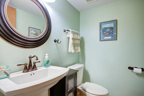 15624 Bramblewood Rd, Oak Forest, IL 60452 photo 20
