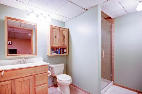 15624 Bramblewood Rd, Oak Forest, IL 60452 photo 38