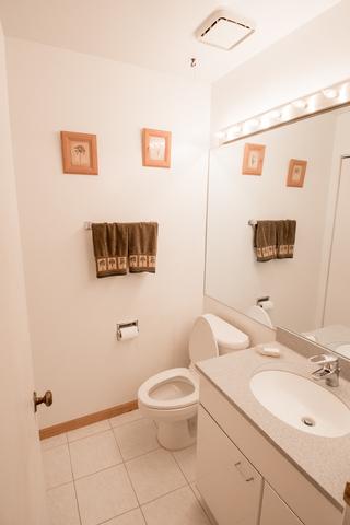 1495 Chippewa Trl, Wheeling, IL 60090 photo 6