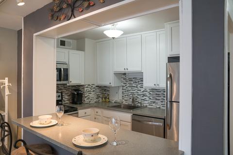 33 E Cedar St #18C, Chicago, IL 60611 photo 5