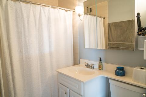 33 E Cedar St #18C, Chicago, IL 60611 photo 10