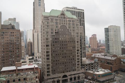 33 E Cedar St #18C, Chicago, IL 60611 photo 12