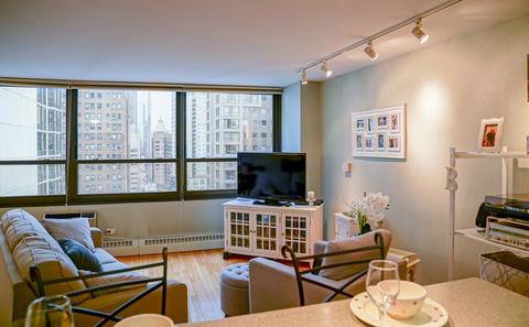 33 E Cedar St #18C, Chicago, IL 60611 photo 2