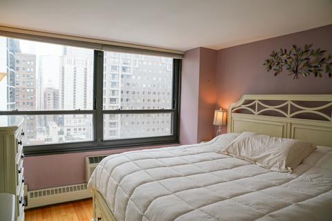 33 E Cedar St #18C, Chicago, IL 60611 photo 8