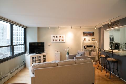 33 E Cedar St #18C, Chicago, IL 60611 photo 3