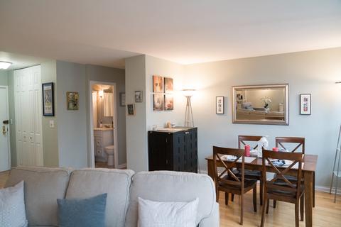 33 E Cedar St #18C, Chicago, IL 60611 photo 6