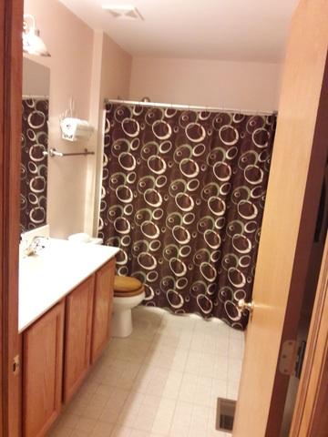 6004 Cherry Ridge Dr, Plainfield, IL 60586 photo 16
