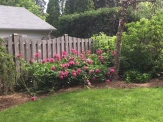 101 Park Ave, River Forest, IL 60305 photo 51