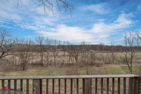 2749 E Brunswick Rd, Beecher, IL 60401 photo 2