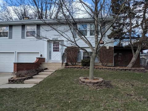 1010 Cobble Hill Ct, Hoffman Estates, IL 60169 photo 1