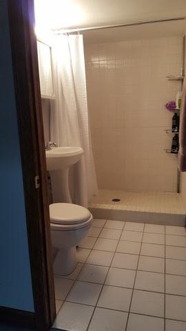 6001 Albin Ter, Berkeley, IL 60163 photo 21