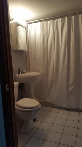 6001 Albin Ter, Berkeley, IL 60163 photo 18