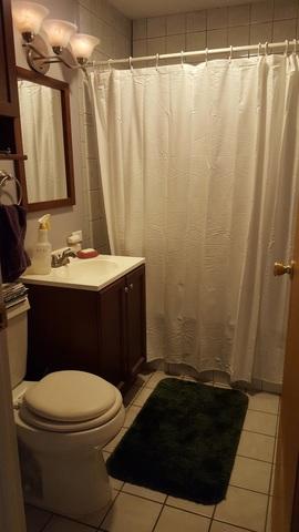 6001 Albin Ter, Berkeley, IL 60163 photo 11