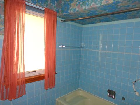 623 E Golf Rd, Des Plaines, IL 60016 photo 15