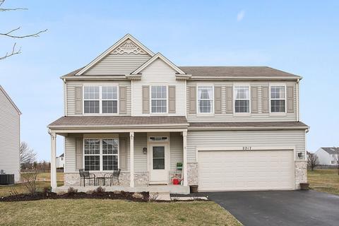 2217 Blackberry Ridge Dr, Plainfield, IL 60586 photo 2