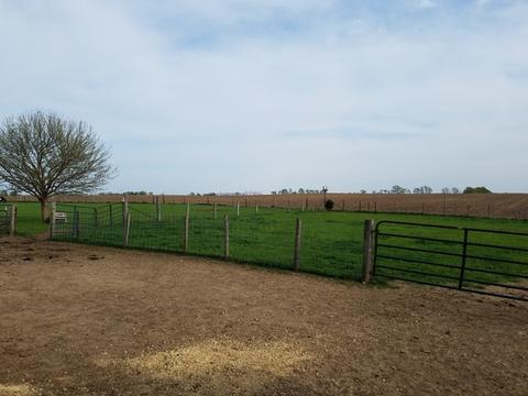 12403 E Scott Rd, Davis Junction, IL 61020 photo 28