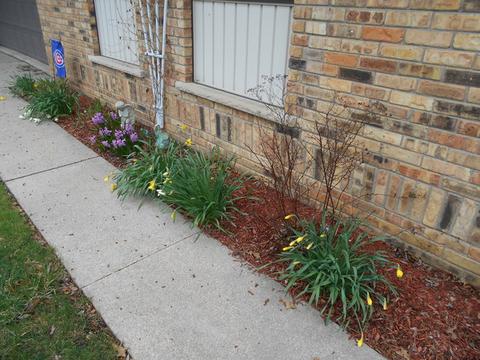 1084 N Main Ave, Kankakee, IL 60901 photo 42