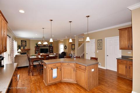 1054 Griffith Ave, Elburn, IL 60119 photo 14