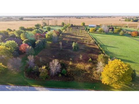 26019 W Renwick Rd, Plainfield, IL 60544 photo 1