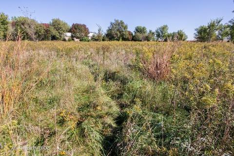 26019 W Renwick Rd, Plainfield, IL 60544 photo 10