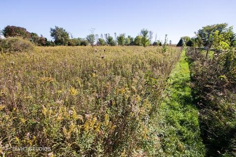 26019 W Renwick Rd, Plainfield, IL 60544 photo 7