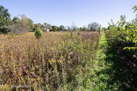 26019 W Renwick Rd, Plainfield, IL 60544 photo 5