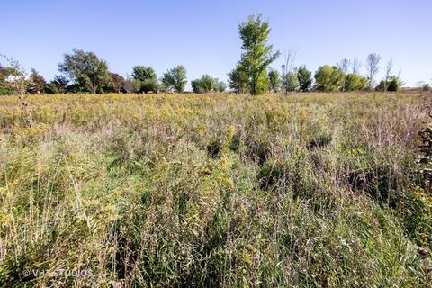 26019 W Renwick Rd, Plainfield, IL 60544 photo 11