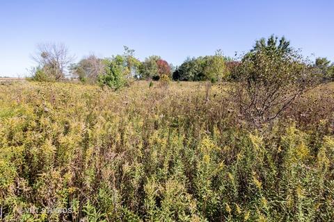 26019 W Renwick Rd, Plainfield, IL 60544 photo 4