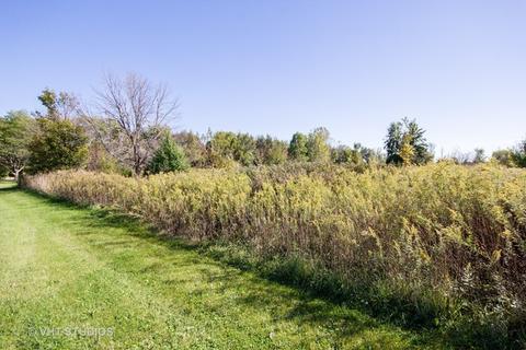 26019 W Renwick Rd, Plainfield, IL 60544 photo 2